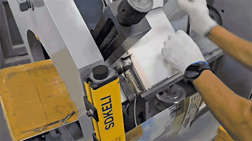 3e8574cef9bb559cd8073ba42e941843_1721986314_5553.gif