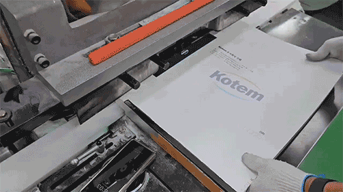 3e8574cef9bb559cd8073ba42e941843_1721986484_875.gif
