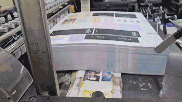 aba9a90ece88475bd3f494f5070e1de2_1726140451_6969.gif