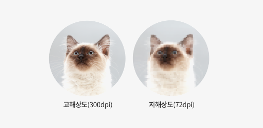 주의사항5