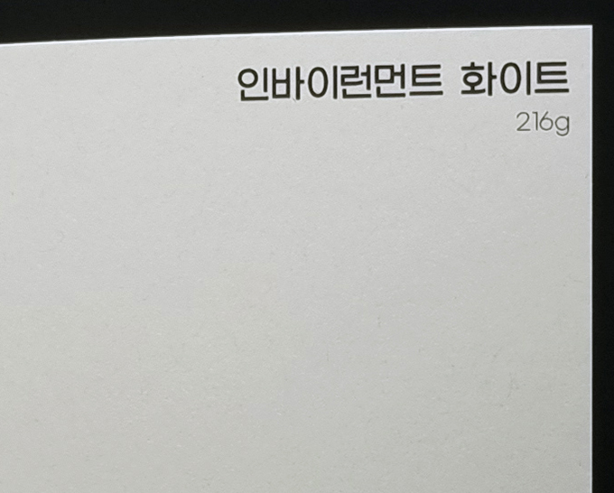 인바이런먼트 화이트
