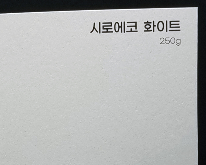 시로에코 화이트
