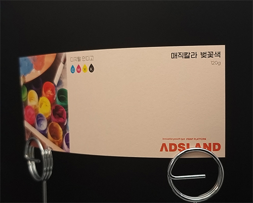 매직칼라 벚꽃색