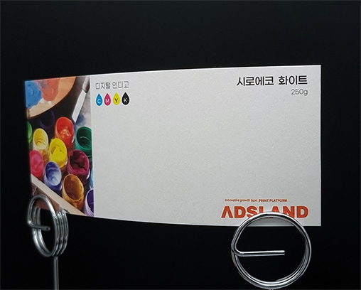시로에코 화이트