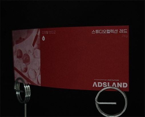 스튜디오컬렉션 레드