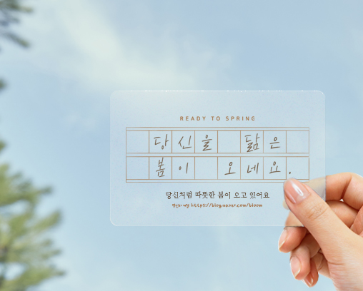 카드 명함